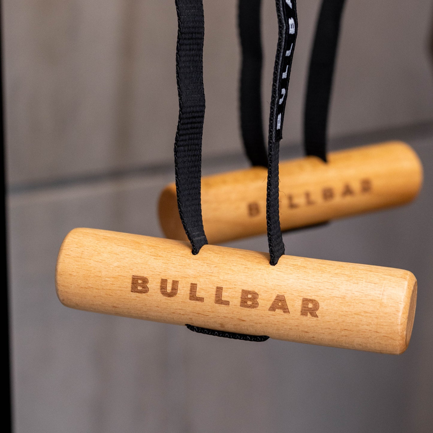 Neutral Grip Pull-Up Handles