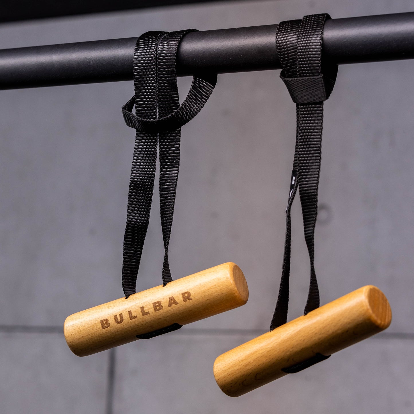 Neutral Grip Pull-Up Handles