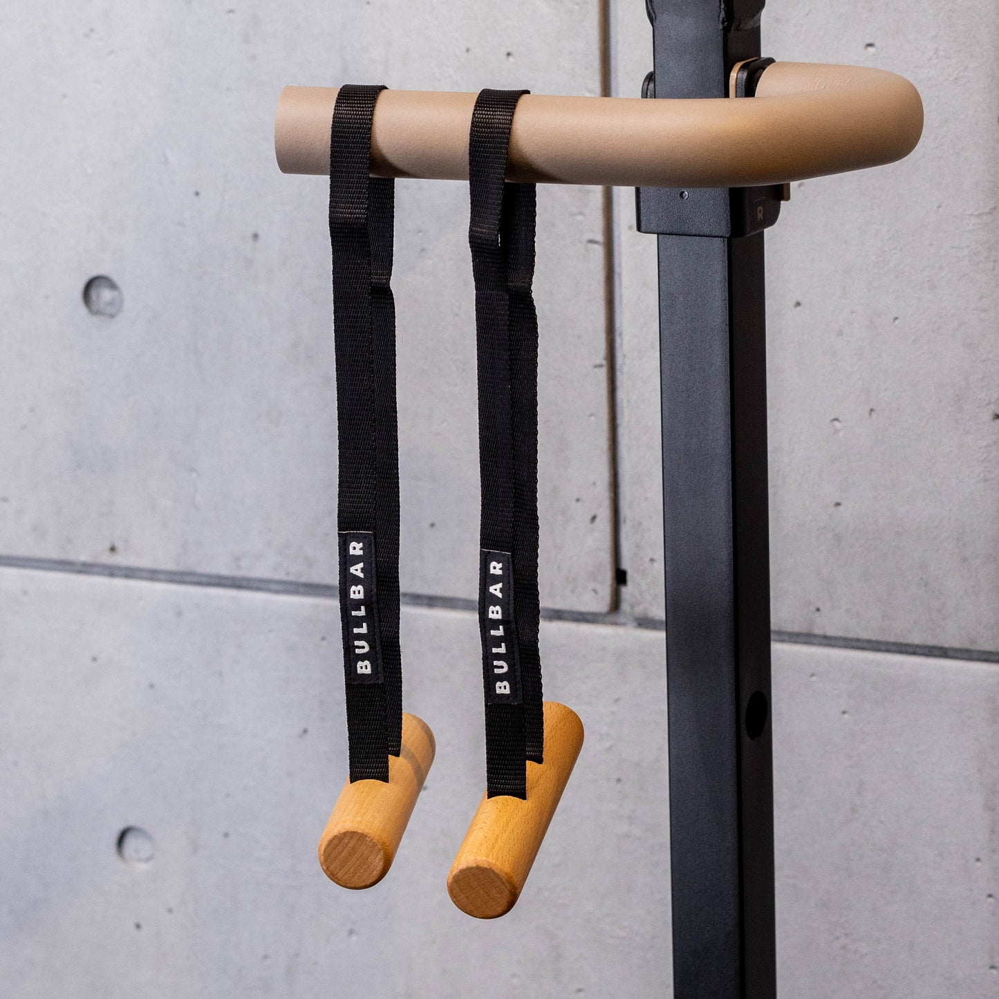 Neutral Grip Pull-Up Handles