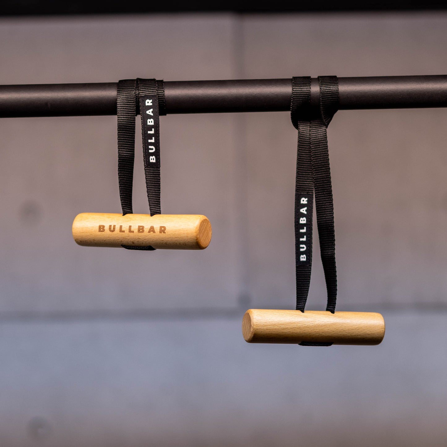 Neutral Grip Pull-Up Handles